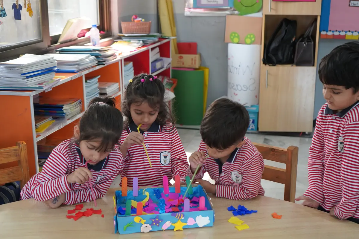 American Lycetuff DNK School System 2