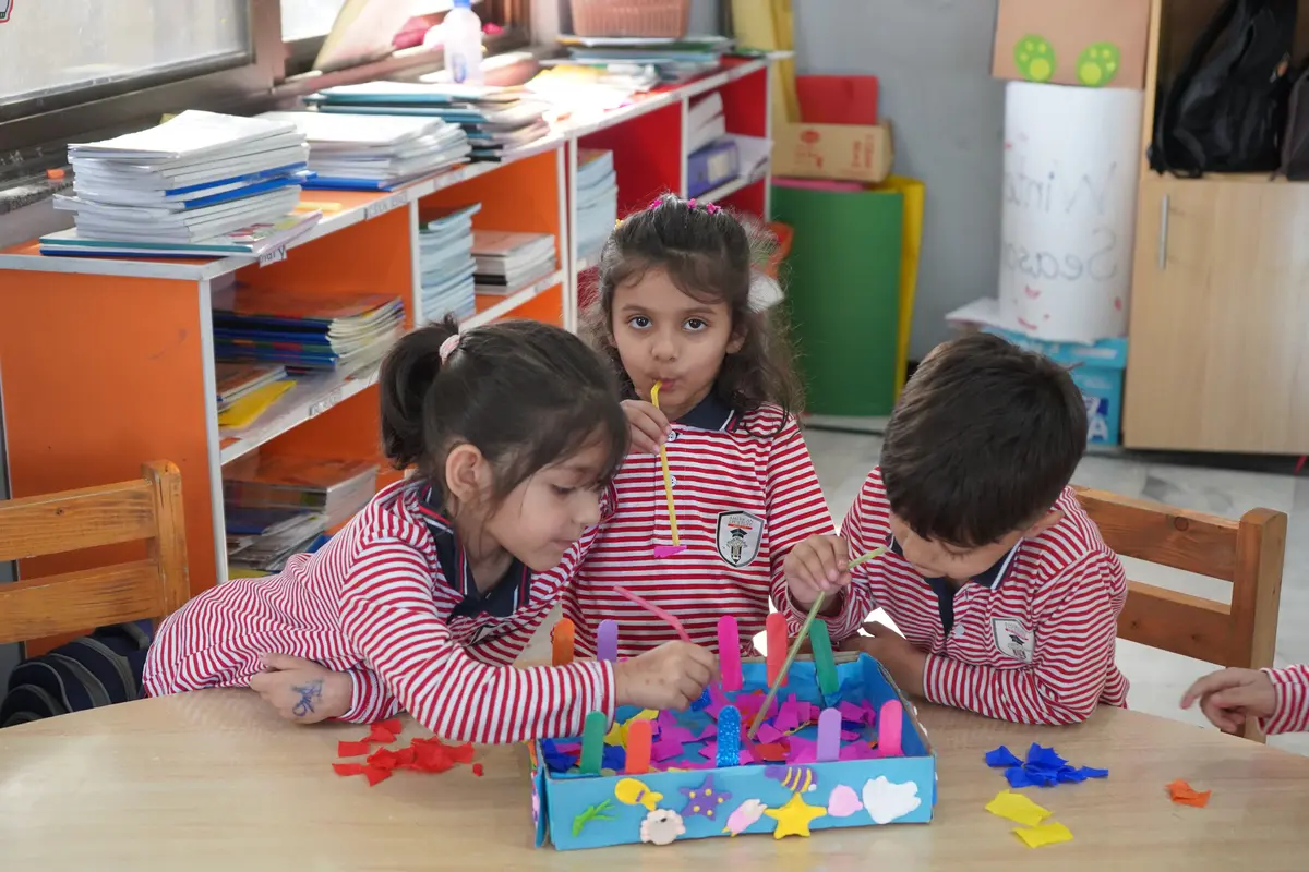 American Lycetuff DNK School System 4