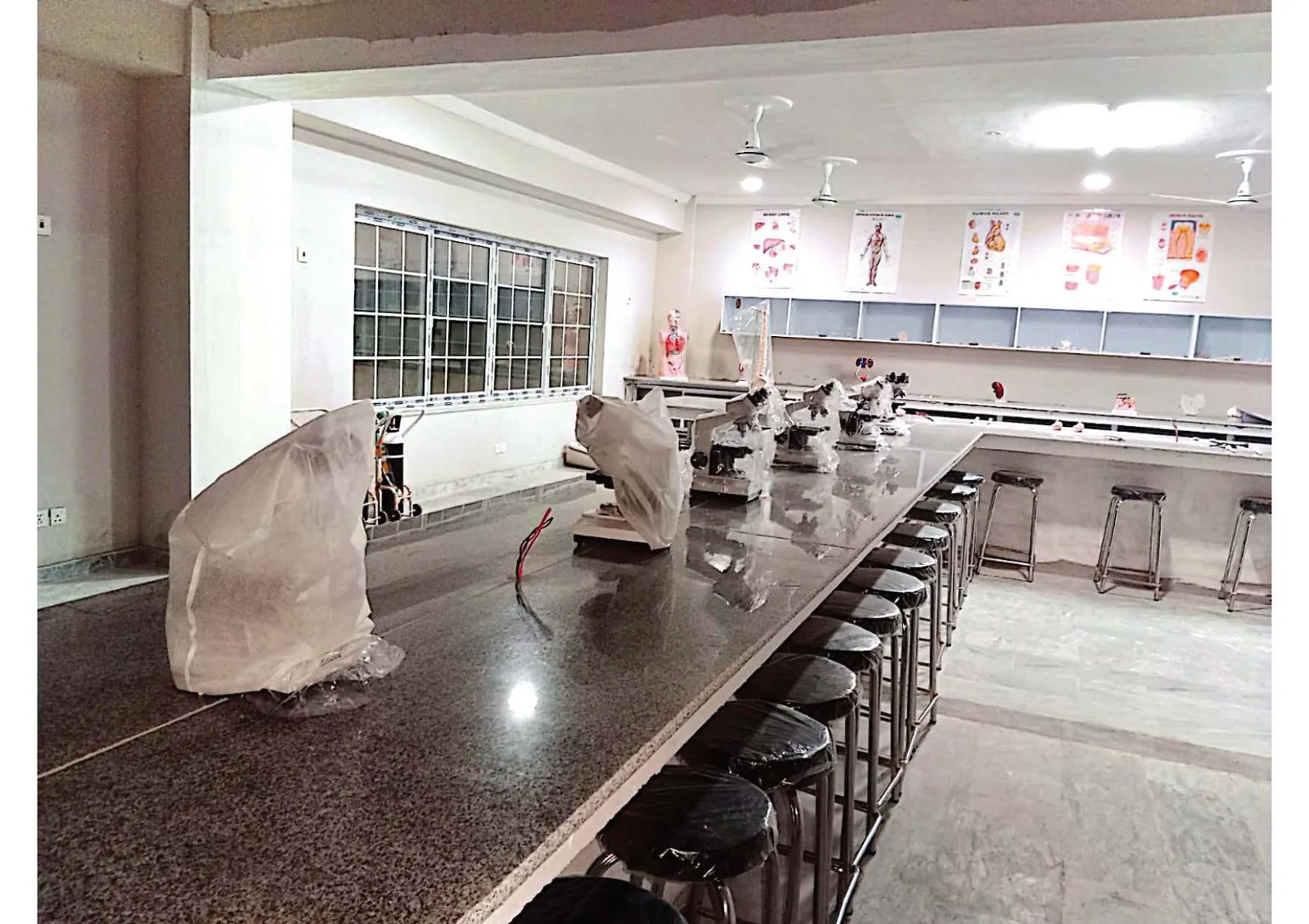 Milestone Institute of Arts And Sciences 5